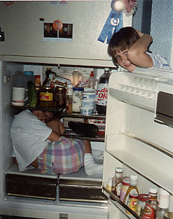 Fridge.jpg (35513 bytes)